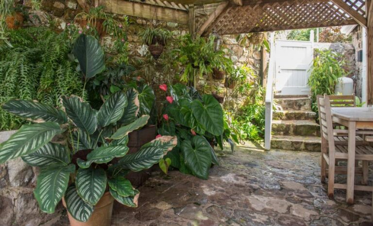 Hidden Garden 4 768x467