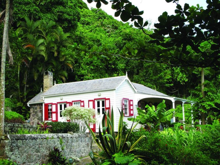 House on the path 768x576