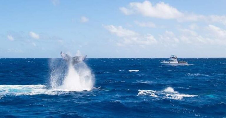 217070407 10160969436162004 97191388427751686 n 768x402