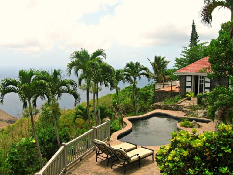 Humming bird above pool and house mf June 21 2015 21 770x578 1 768x576