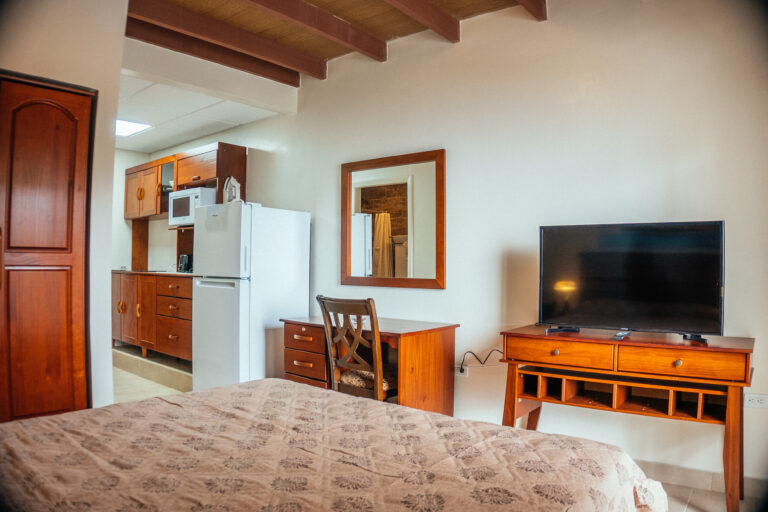 JUNIOR SUITE QUEEN BED DSC06547 768x512