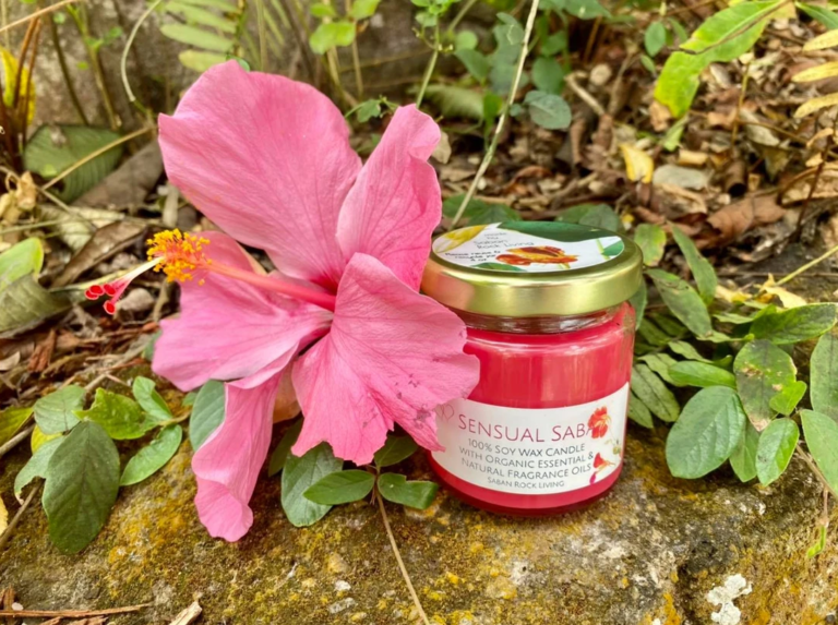 Screenshot 37 768x573