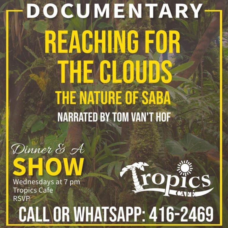 323416053 733885254774434 764570215085302574 n 768x768