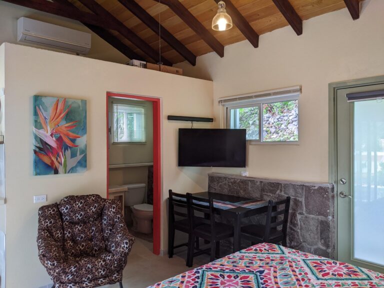 PXL 20221205 160140542 768x576