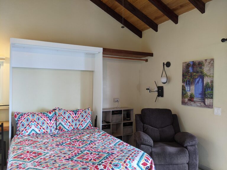 PXL 20221205 160308600 1 768x576