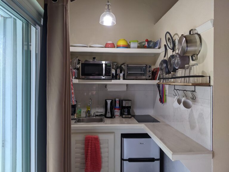 PXL 20221205 160433822 768x576