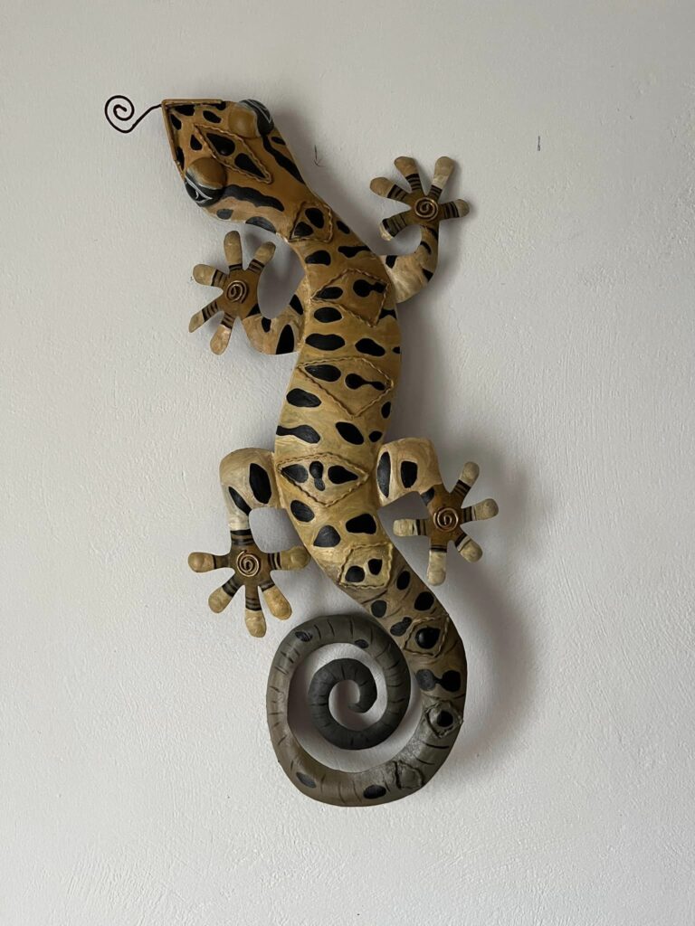 Boomerang 4 768x1024